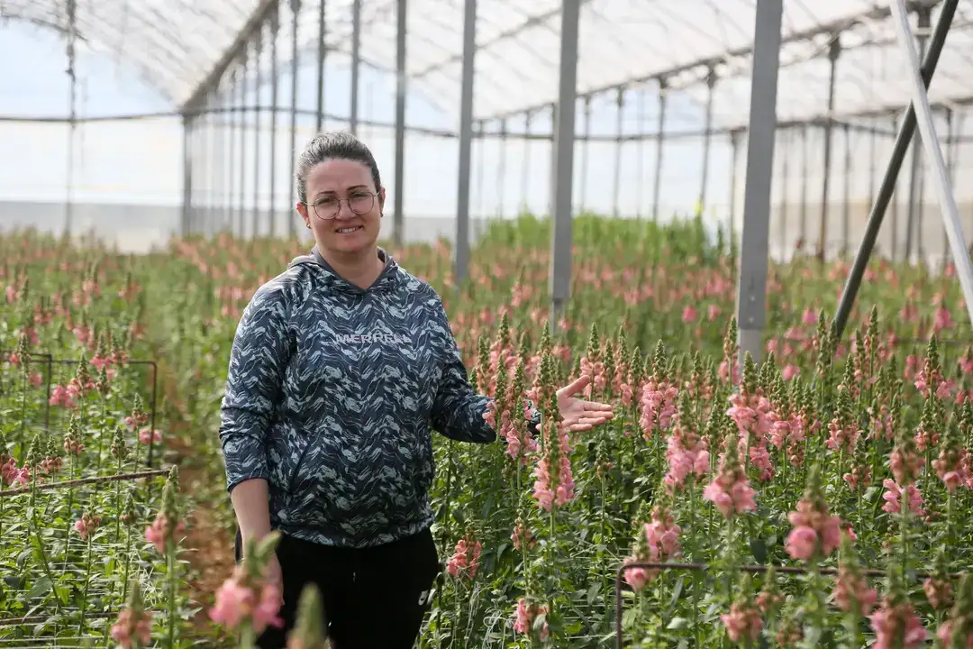 Aslanağzı Üretimiyle Avrupa Pazarına İlk Sevkiyat 8